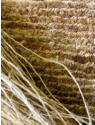 Custom Rug Pictures | Custpm Carpet Pictures