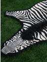 Custom Rug Pictures | Custpm Carpet Pictures